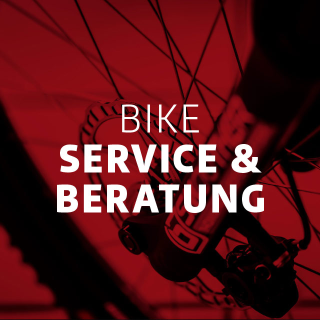 2m2r – Ihr Zweirad-Fachhandel in Steinau – Beratung